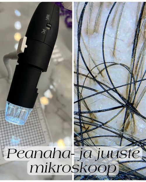 PEANAHA JA JUUSTE DETOX SÜGAVPUHASTAV RAVIHOOLDUS-VOUCHER