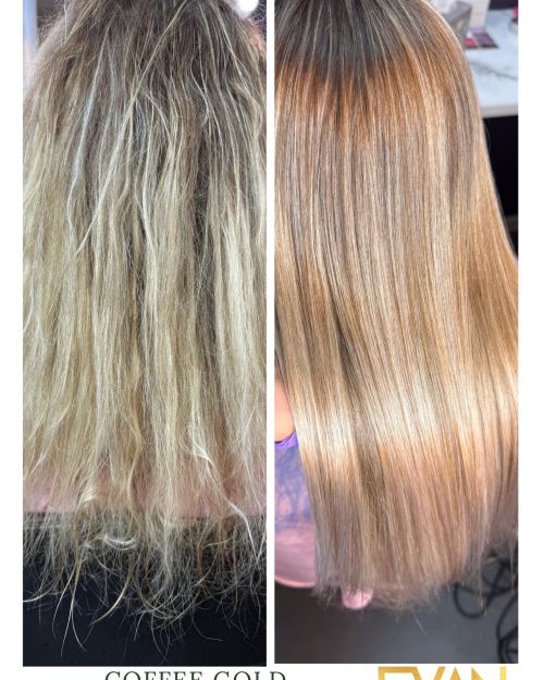 COFFEE GOLD SEALER BALM HOOLDUS-VOUCHER